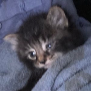 Meet your Posher, Jill